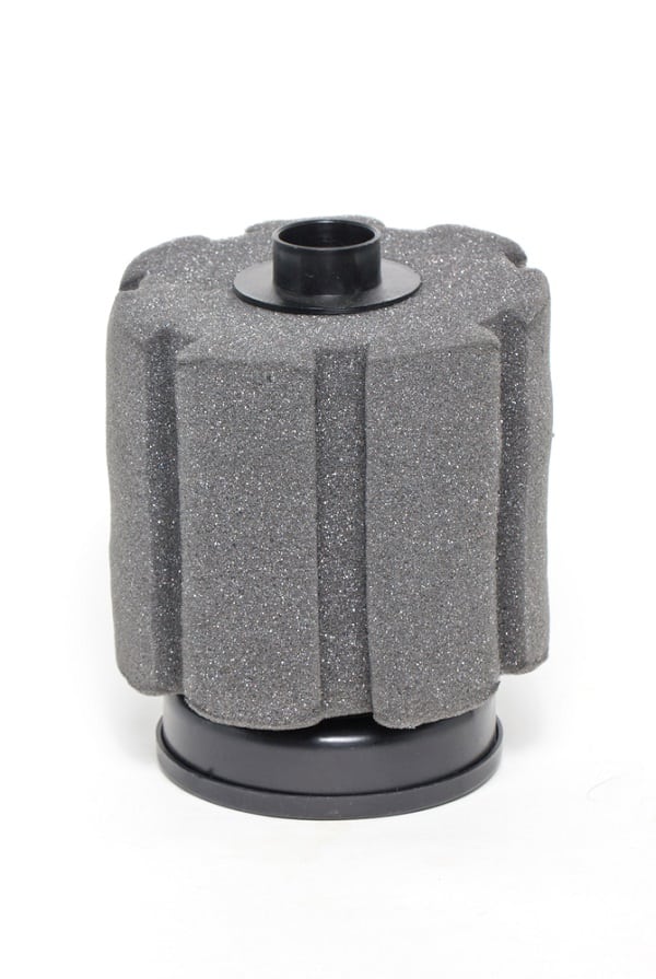 Best Filter for 20 Gallon Tank 2021